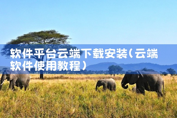 软件平台云端下载安装