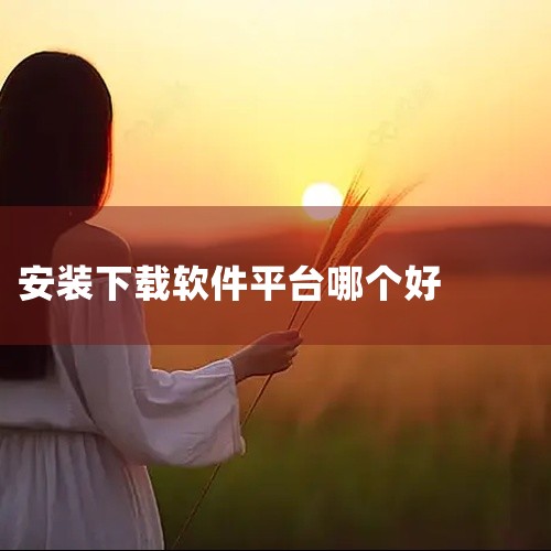 好用的软件下载平台因电脑端和安卓端而异，以下分别介绍：电脑端腾讯软件中心：腾讯旗下，资源丰富，涵盖办公、娱乐等各类型软件。操作便捷，界面简洁，搜索功能强大，能快速定位软件。腾讯强大的安全防护体系为软件,