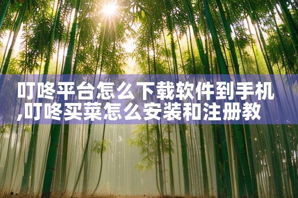 叮咚平台怎么下载软件到手机