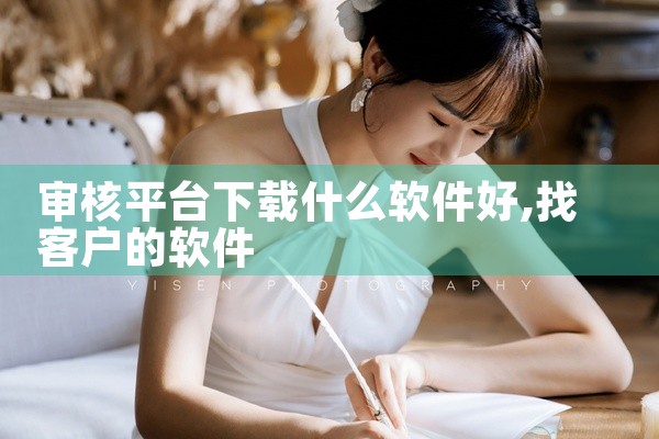 审核平台下载什么软件好