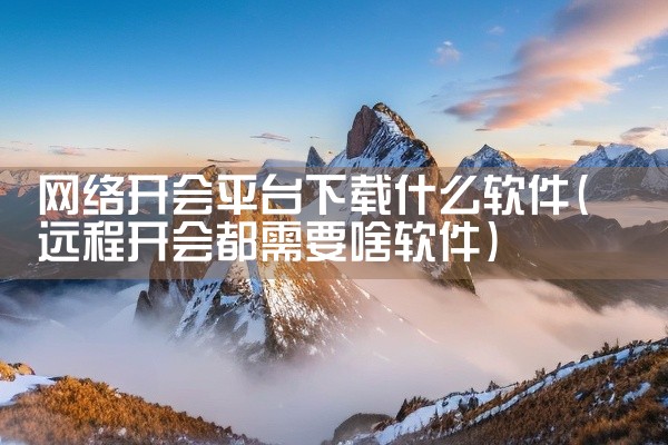 网络开会平台下载什么软件