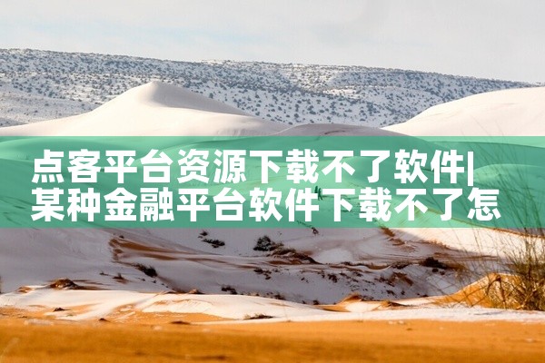 点客平台资源下载不了软件