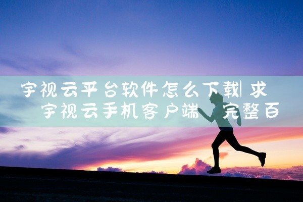 宇视云平台软件怎么下载