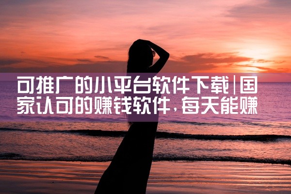 可推广的小平台软件下载